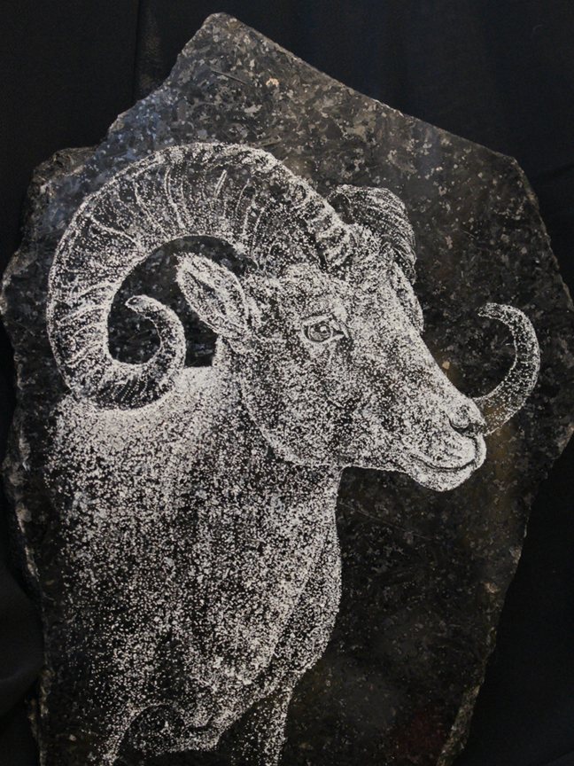 Hand etching of a bighorn ram's head on a rough edged slab of black granite
