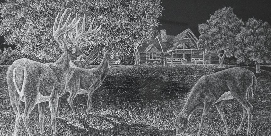 Hand etching on black granite of three whitetail deer feeding in front of a log cabin under oak trees