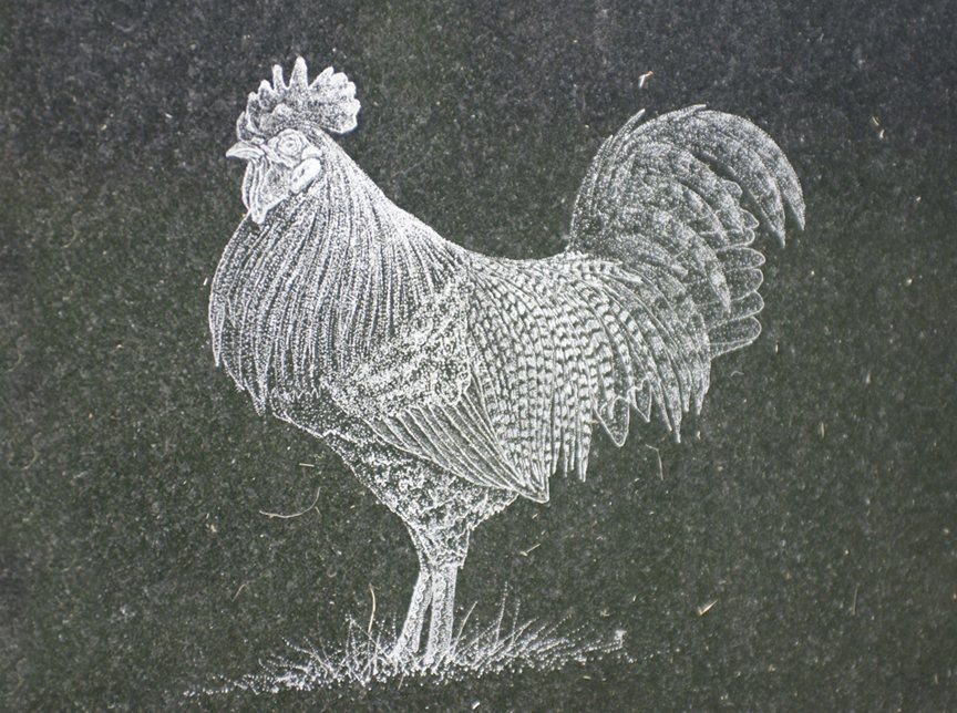 Hand etching of a rooster standing in grass, cut into dark green granite